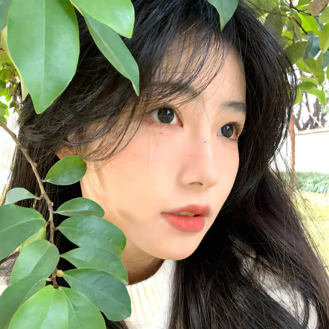 新贵 第三季